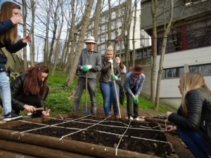 potager au lycée