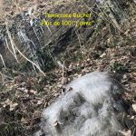 Résultats du concours photo