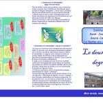 Offres d’enseignement du deuxième degré