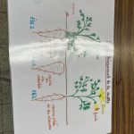 Goûts et couleurs d&rsquo;ici